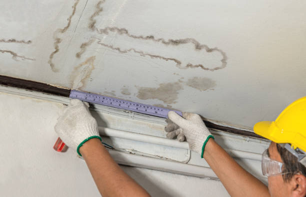 Reliable Flood Cleanup contractor in Fruitport, MI by Water Damage Irwin